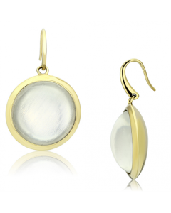JCE102 IP Gold(Ion Plating) Brass Earrings with Synthetic Synthetic Stone in Clear